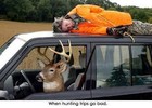 Picture for song 'WILD SIDE OF LIFE by Virgils country' by artist 'VIRGILS COUNTRY MUSIC'