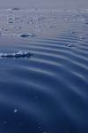 Picture for song 'Ripples' by artist 'Virtual Preserve'