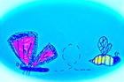 Picture for song 'The Butterfly and The Bumblebee' by artist 'Volans'