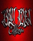 Picture for song 'dRaStiK' by artist 'West CoasT Lei-LoW ReKeRDz'
