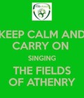 Picture for song 'Fields Of Athenry' by artist 'Whiteboys'