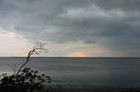 Picture for song 'Grey Sky' by artist 'Whitehouse Mafia'