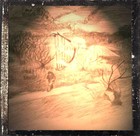 Picture for song 'So in between' by artist 'Will Carroll'