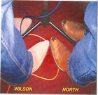 Picture for song 'Drifters Code' by artist 'WilsonNorth'