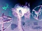 Picture for song '% Mushroom of Chaos %' by artist 'Wings of Chaos'