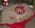 Picture for song 'Christmas In My Heart' by artist 'wordee'
