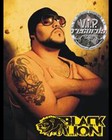 Picture for song 'Fiesta-Black Lion' by artist 'wwwviprecordsprnu'