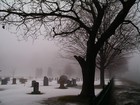 Picture for song 'Final Hour' by artist 'x(((-Pro-File-)))x'