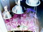Picture for song 'Drop By Drop - No Reason' by artist 'Yac'