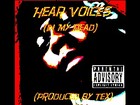 Picture for song '''Hear Voices (In My Head)''' by artist 'Young Fin'