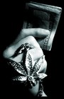 Picture for song 'cold runn'n da show' by artist 'Young Hustle 6'