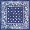 Picture for song 'my everything(dedication to my grandfather)' by artist 'yung psy-klone'