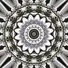 Picture for song 'Serene Radiation' by artist 'Alexandre Falcao'