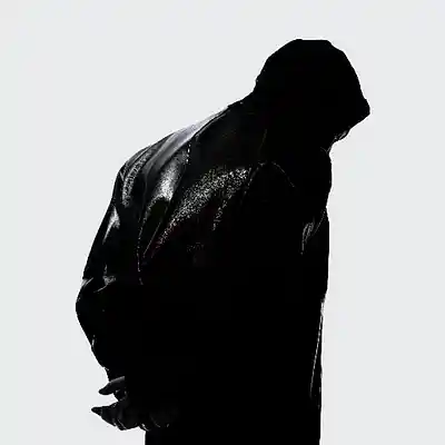 Picture for song 'Black On White' by artist 'Pandora Nightz'