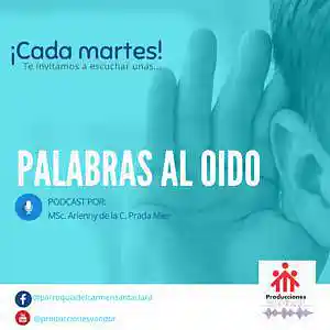 Picture for song 'Palabras al oído - Programa 26' by artist 'Producciones Vandor'