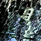 Picture for song 'tal-fantasia' by artist 'Yatmandu'