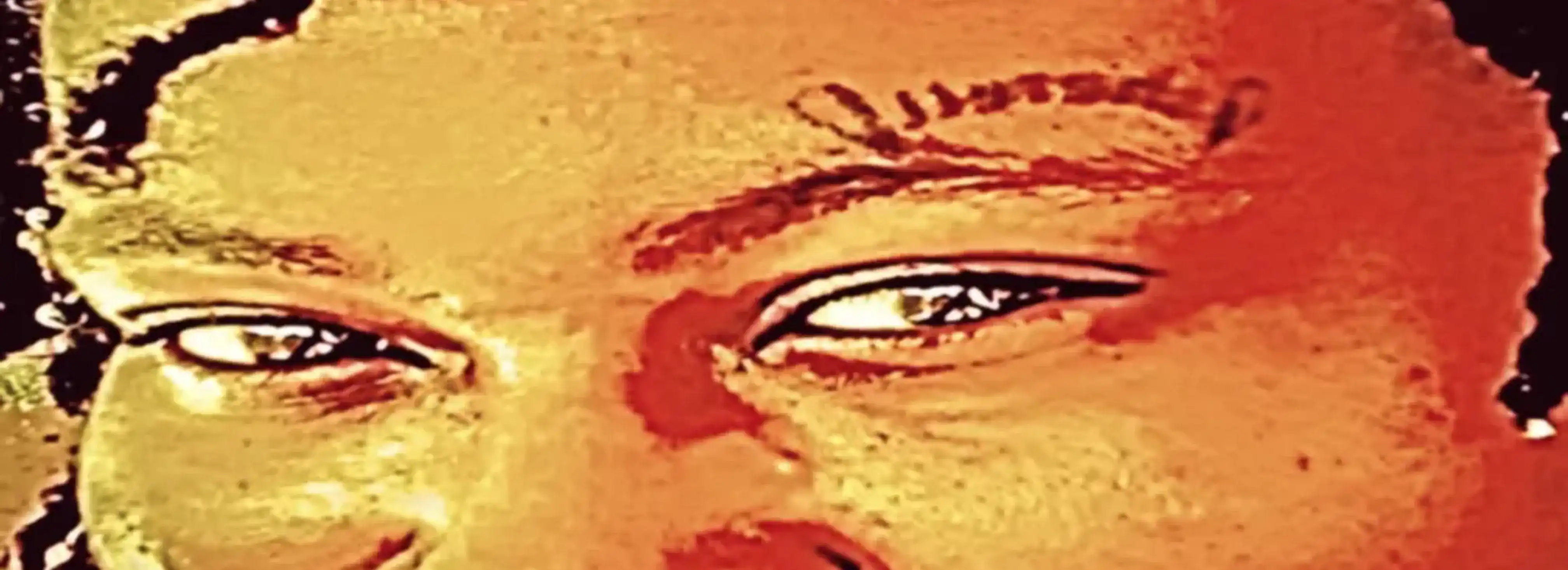 cover pic