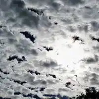 Picture for song 'Wale Type Beat' by artist 'Bmaffs'