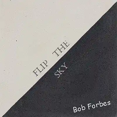 Picture for song 'Flip The Sky' by artist 'Bob Forbes'