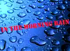 Picture for song 'IN THE MORNING RAIN' by artist 'Mackie Humphries'