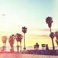 Picture for song 'Burn(Hoodie Allen X Mac Miller Type Beat)w/Hook' by artist 'MoBBeatzzz'