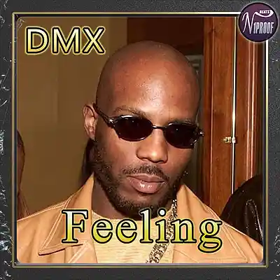 Picture for song 'DMX TYPE BEAT FEELING HARD RAP INSTRUMENTAL' by artist 'N1PROOF BEATS'