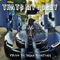 Picture for song '*Thats My Hobby* Futuristic *HIT* (Free DL)' by artist 'Sean Bentley'