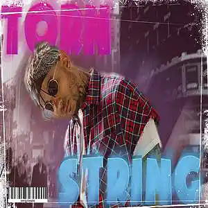 Picture for song 'Torn String (Guitar Type Beat)' by artist 'Sergy Beats'