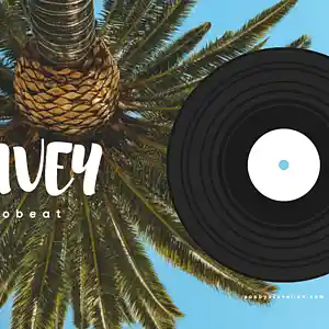Picture for song 'Wizkid, Stefflon Don, Fuego Type Beat " WAVEY "' by artist 'SoundoSphere'