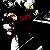 Picture for song 'Run Up' by artist 'Turtle Necromancer'