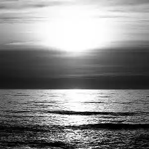 Picture for song 'Faded *BUY 1 GET 1 FREE*' by artist 'Vape D'