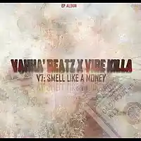 Picture for song 'Smell Like A Money x Vahha Beatz' by artist 'VIBE KILLA'