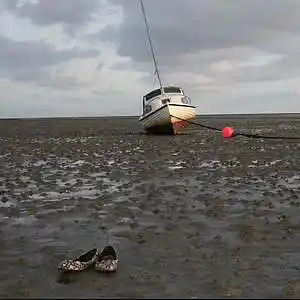 Picture for song 'f-chen' by artist 'Andi Wendt'