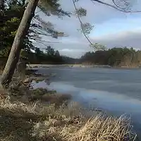 Picture for song 'Words, UnHeard' by artist 'AuDioChosis - Steven F. Allen - AuDio MiRage'