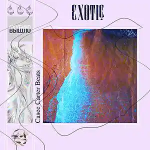 Picture for song 'Casee Carter - Exotic (hip hop, rap type beat)' by artist 'Casee Carter'