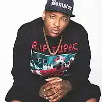 Picture for song 'Full Fledge (SOLD)' by artist 'DjFlippp'