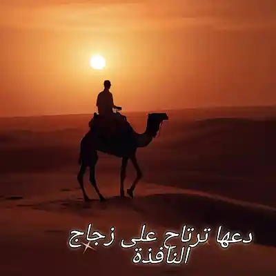 Picture for song 'دعها ترتاح على زجاج النافذة ft Usman Abdulrahmon' by artist 'Gloria May Byron'