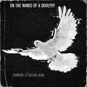 Picture for song 'WINGS OF A DOVE!!!!!!' by artist 'JUNIOR STRICKLAND'