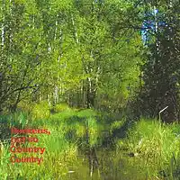 Picture for song 'Logger' by artist 'lkb(US)'