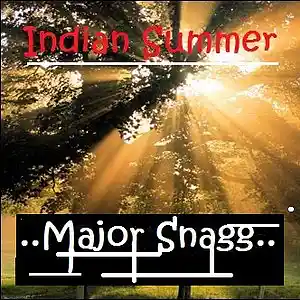 Picture for song 'Indian Summer' by artist 'Major Snagg'