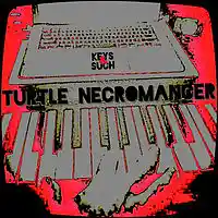 Picture for song 'Keys&Such' by artist 'Turtle Necromancer'
