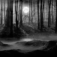 Picture for song 'Out of The Dark (FREE D/L)' by artist '3RD DIMENSIONAL BEATS'