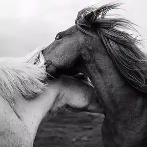 Picture for song 'KINDNESS (BUY 1 GET 4 FREE)' by artist 'DriveMeCrazy'