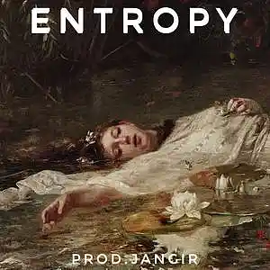 Picture for song 'Entropy' by artist 'Jangir Beats'