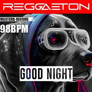 Picture for song 'Type Beat Tainy x Feid GOOD NIGHT' by artist 'MasterBeats-record'