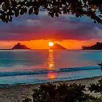 Picture for song 'Maui Hawaii' by artist 'Chris Whitehead (Moonlit Rain)'