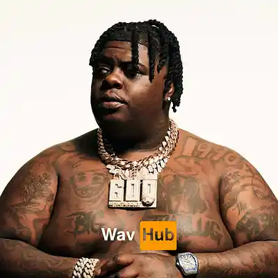 Picture for song 'Born From Pain' by artist 'Wav Hub'