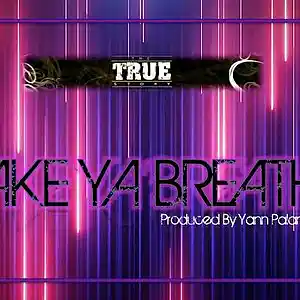 Picture for song '1-12 Track 12 _ Take Ya Breath _ By Yann Palandra' by artist 'yannpalandrabeats'