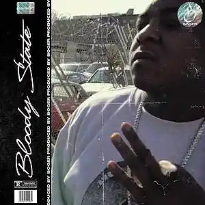 Picture for song 'Bloody State (Buy 1 get 1 Free)' by artist 'BOGER'
