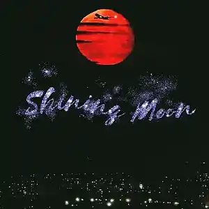 Picture for song 'Shining Moon (Buy 1 Get 4 Free)' by artist 'Lonz Kid'